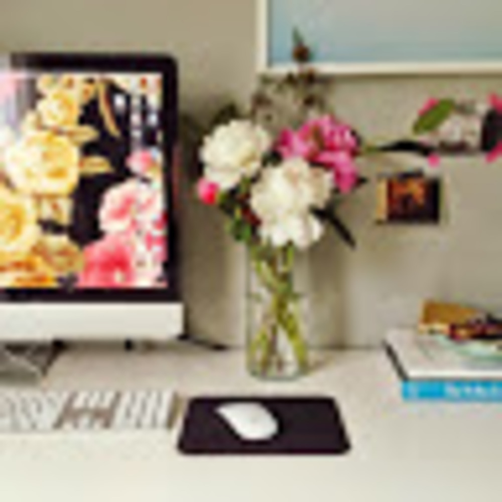 Meet your Posher, Gelililili